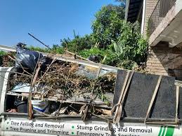 Best Furniture Removal  in Morrice, MI