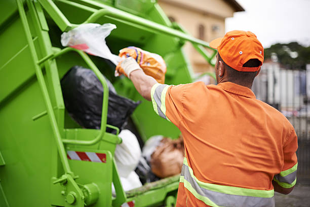 Best Shed Removal  in Morrice, MI